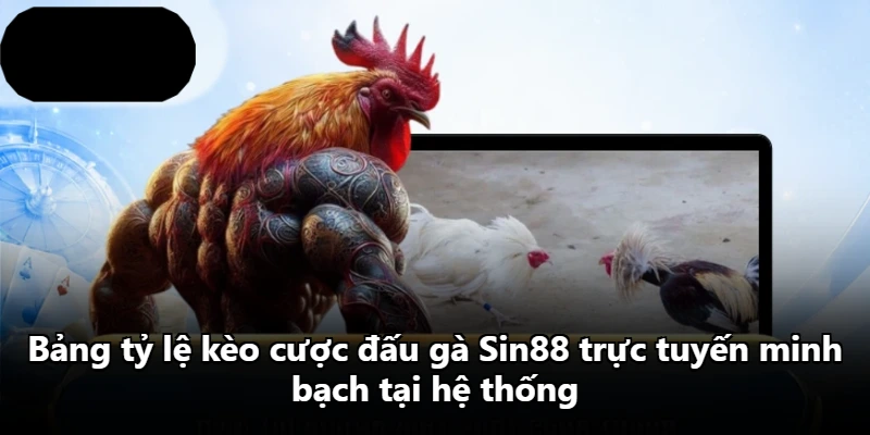 Bảng tỷ lệ kèo cược đấu gà Sin88 trực tuyến minh bạch tại hệ thống Bảng tỷ lệ kèo cược đấu gà Sin88 trực tuyến minh bạch tại hệ thống