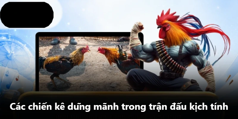 Các chiến kê dũng mãnh trong trận đấu kịch tính