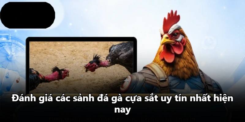 Đánh giá các sảnh đá gà cựa sắt uy tín nhất hiện nay