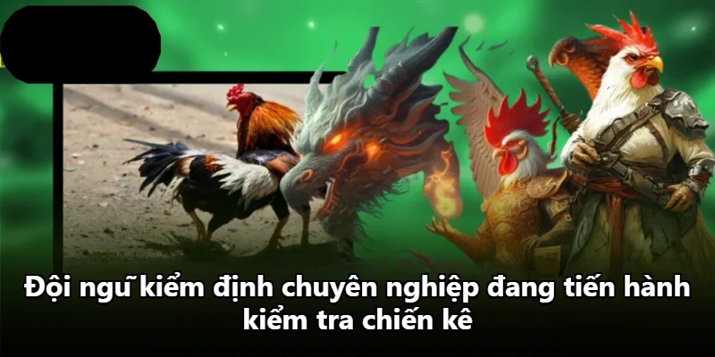 Đội ngũ kiểm định chuyên nghiệp đang tiến hành kiểm tra chiến kê