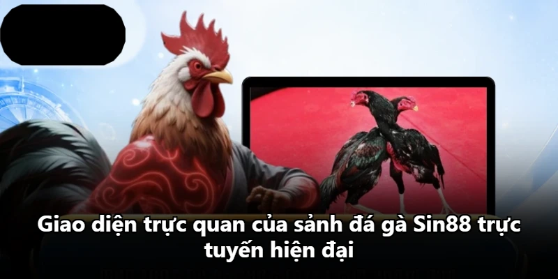 Giao diện trực quan của sảnh đá gà Sin88 trực tuyến hiện đại Giao diện trực quan của sảnh đá gà Sin88 trực tuyến hiện đại