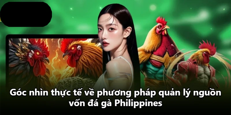 Góc nhìn thực tế về phương pháp quản lý nguồn vốn đá gà Philippines