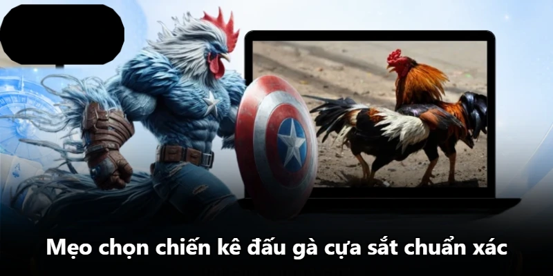 Mẹo chọn chiến kê đấu gà cựa sắt chuẩn xác
