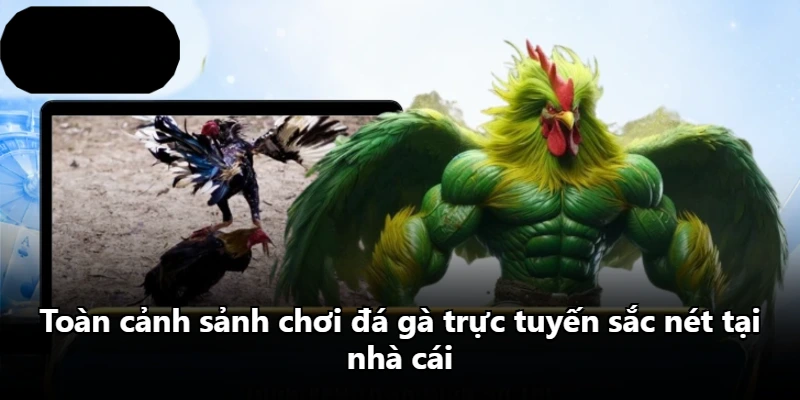 Toàn cảnh sảnh chơi đá gà trực tuyến sắc nét tại nhà cái