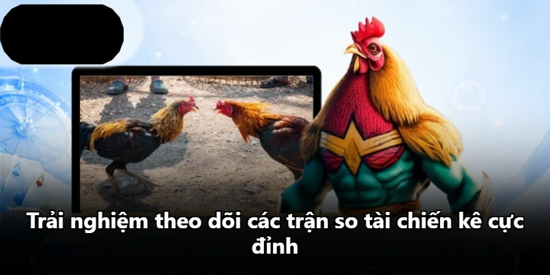 Trải nghiệm theo dõi các trận so tài chiến kê cực đỉnh